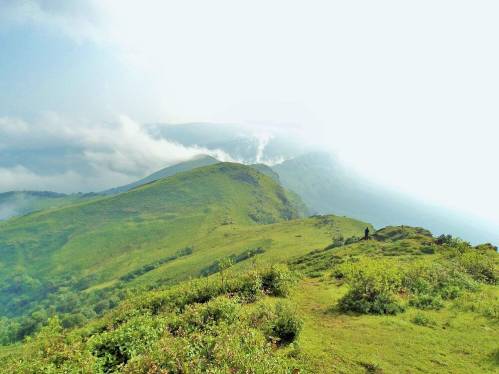 trail-from-Mullayanagiri-towards-Bababudangiri