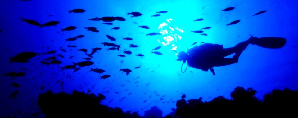 Scuba diving Andaman