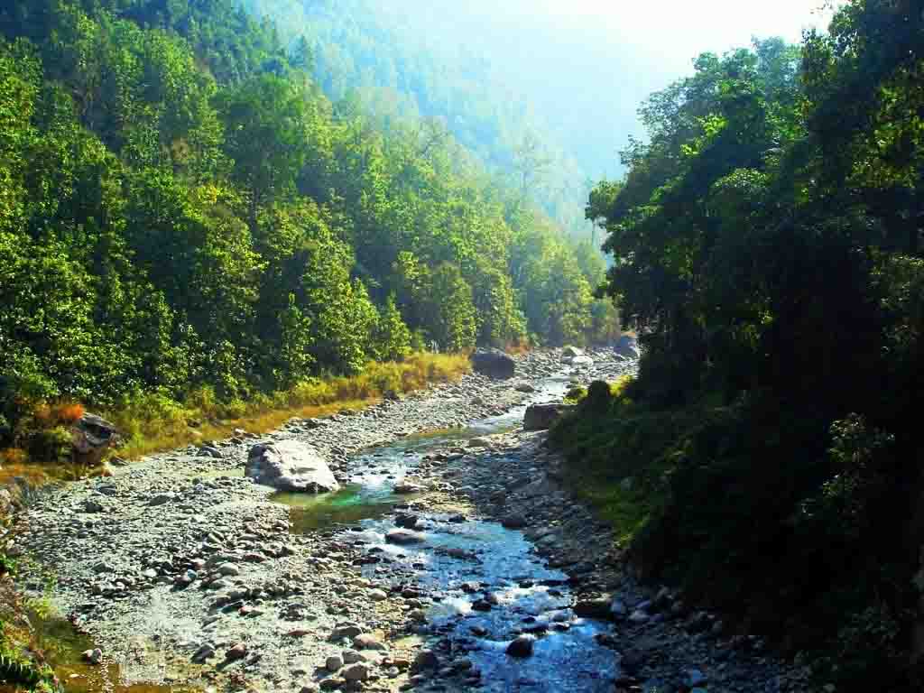 A tributary of river Teesta