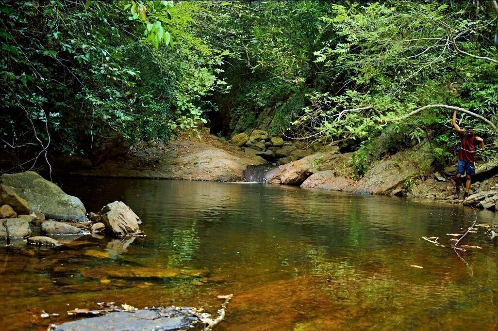 water stream on nagala east trekking