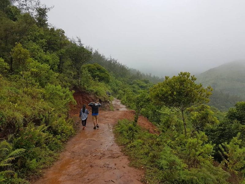 Wide Tadiandamol trekking trail until camping site from forest entry point
