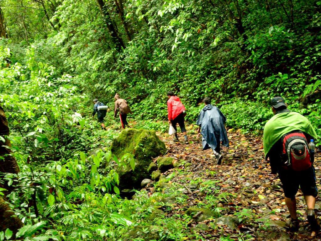 Kodachadri trek through forest
