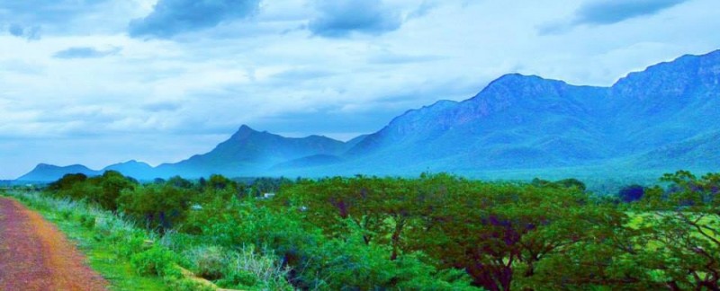 Nagalapuram Hills, Eastern Ghats