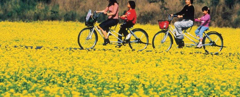 cycling-adventures-in-taiwan