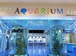 Coax Aquarium Seoul (1)